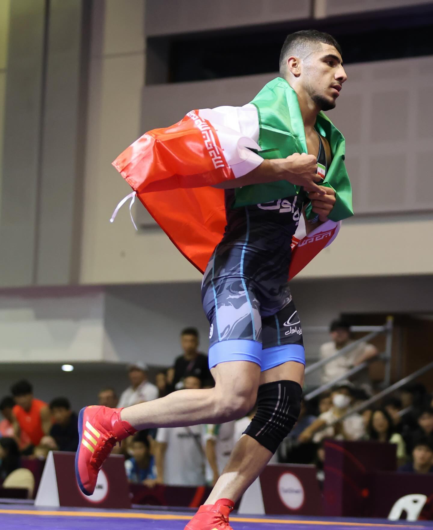 علی خرمدل والپیپر 