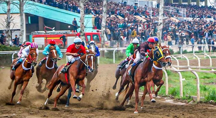 شروع فروش بلیت مسابقات اسبسواری میدان شروع فروش بلیت مسابقات اسبسواری میدان