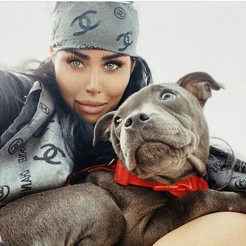 مینا نامداری