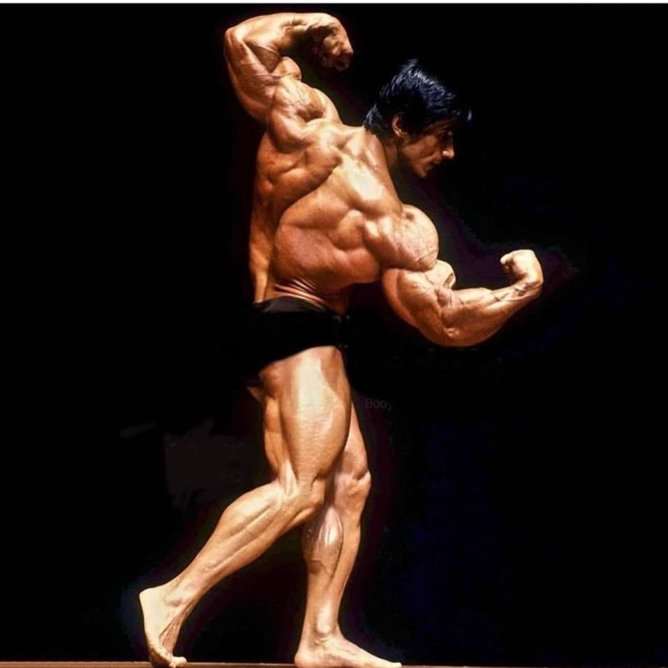 عکس دنی پادیلا