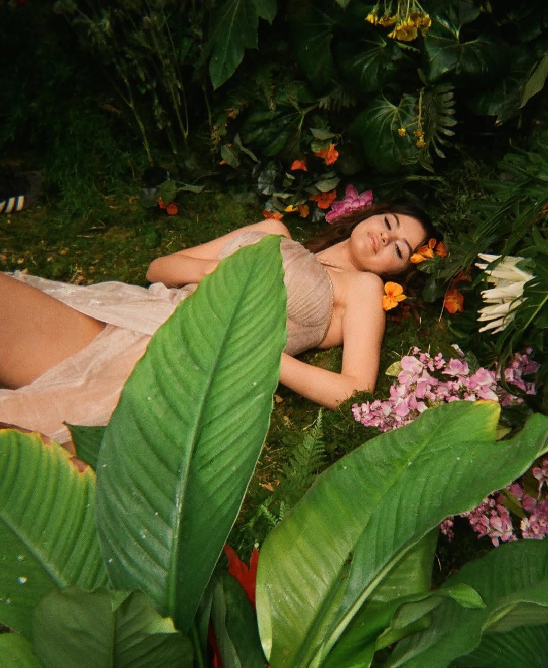 بهترین پورن استار سلنا گومز بهترین پورن استار سلنا گومز