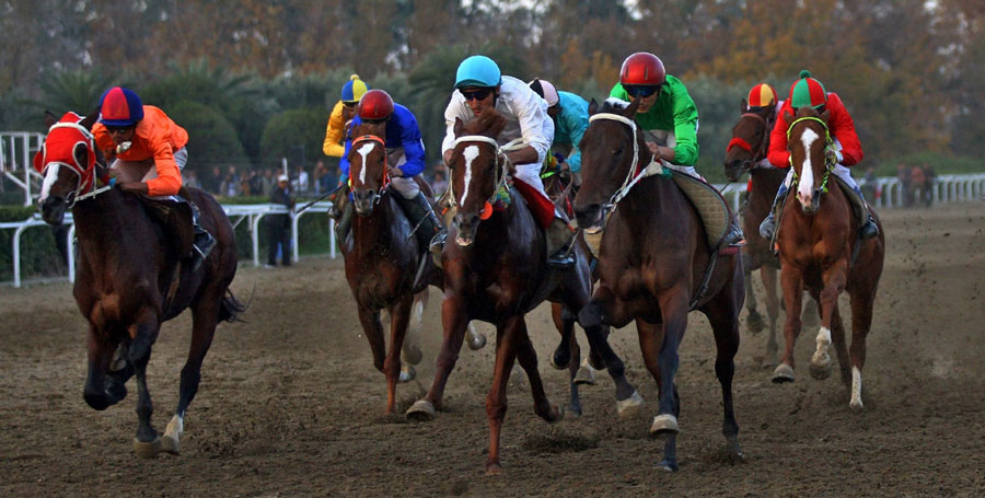 آغاز پیشفروش بلیت اسبدوانی دبی ۲۰۲۶ آغاز پیشفروش بلیت اسبدوانی دبی ۲۰۲۶