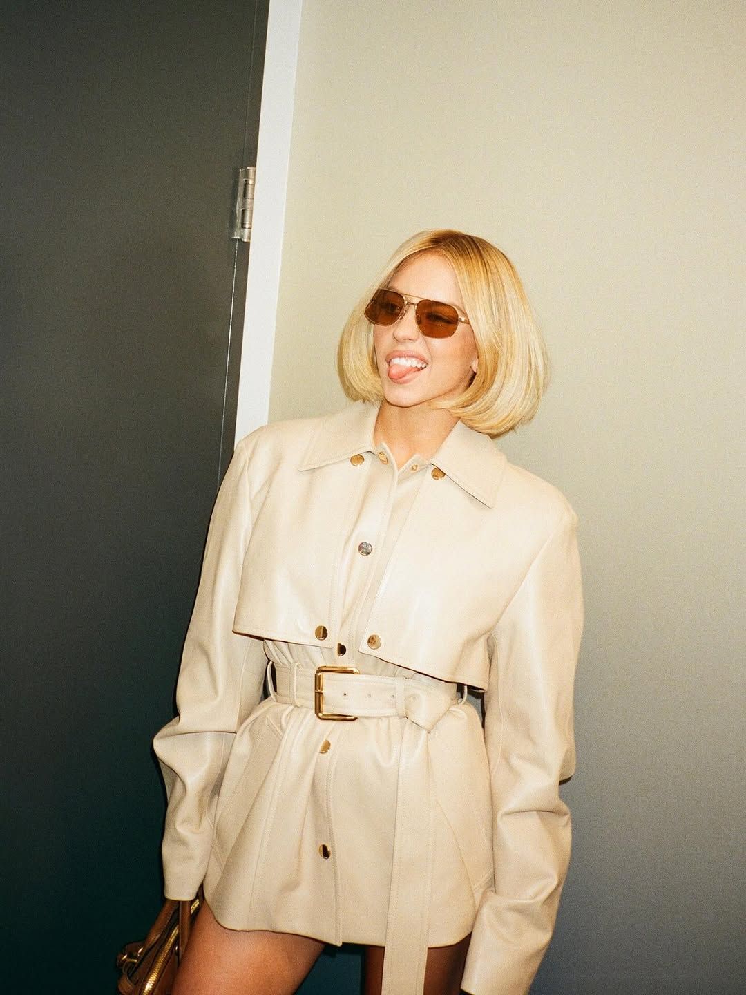 فیلم xxx سیدنی سوئینی